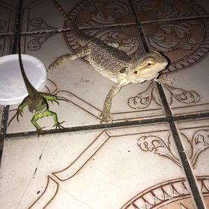 Meet your Posher, Eric